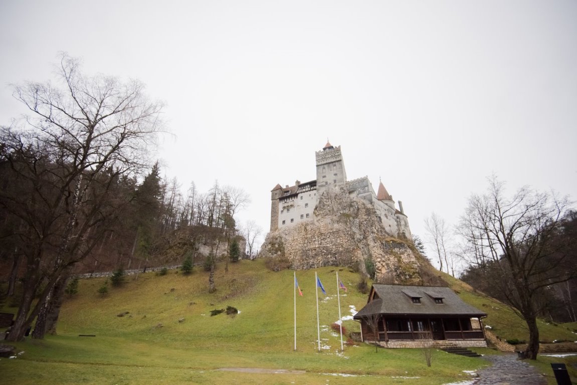 6. Mocha mousse wedding - Bran Castle, trees